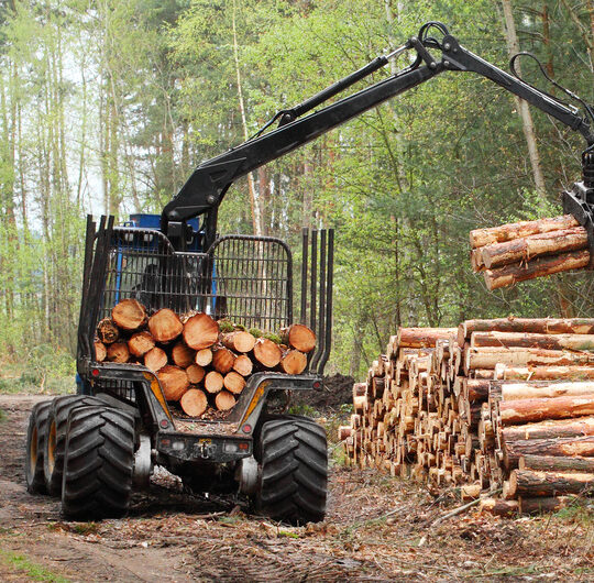 The harvester working in a forest.