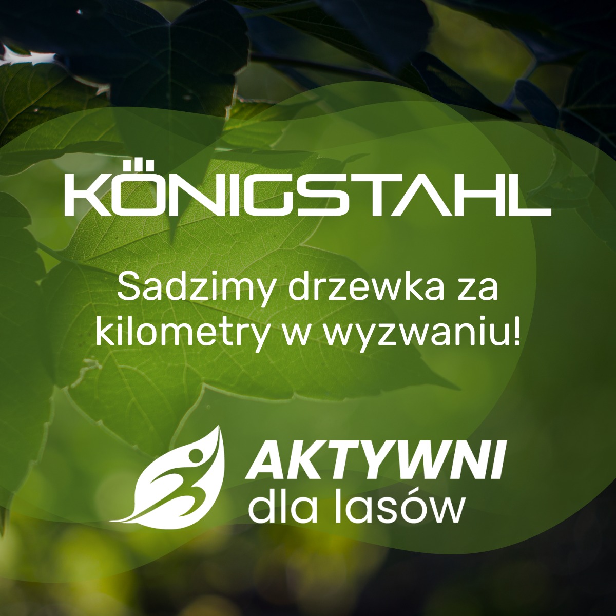 Aktywni dla Lasów - Start