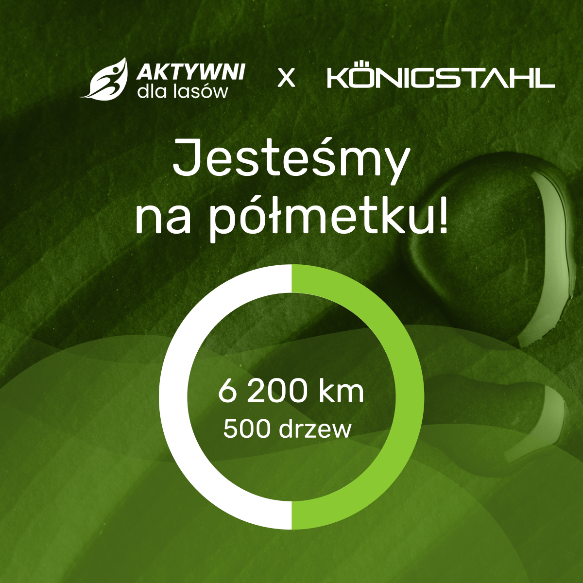 Jesteśmy na półmetku! Aktywni dla Lasów x KönigStahl 6 200 km i 500 drzew